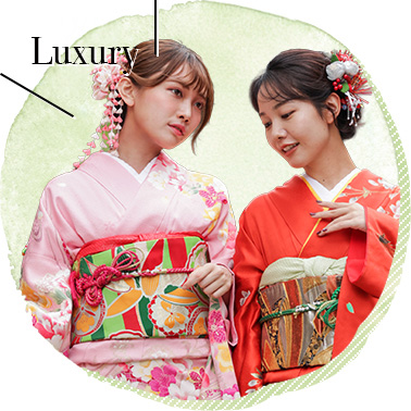 Premium Silk Furisode Plan